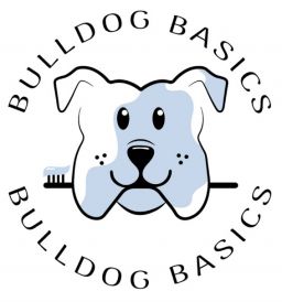 Bulldog with toothbrush and text: Bulldog Basics