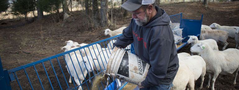 Farmer feeding animals <p>Danny Sims of LaGrange received help from IHDD’s Farm Again program. Photo by Robin Rayne Nelson</p>